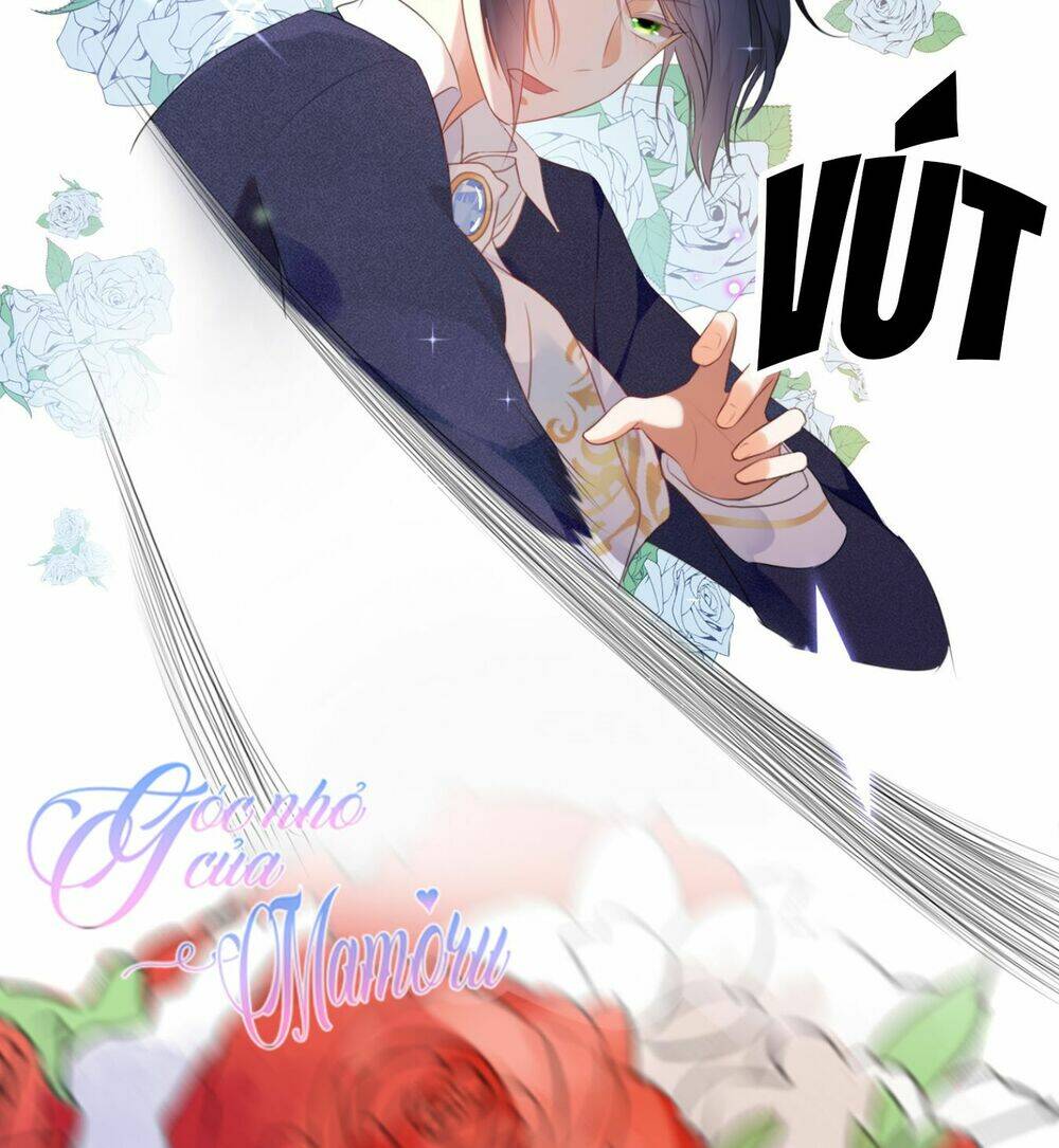 Cô Bé Lọ Lem Của Tôi Không Ăn Chay Chương 1 Ảnh 19