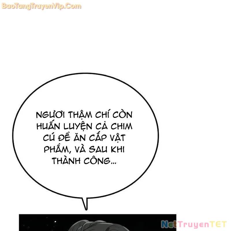 Có Lẽ Là Vô Địch Chương 15 Ảnh 75