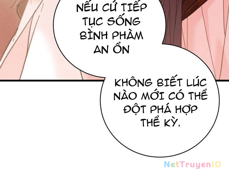 Đại Thừa Kỳ Mới Có Nghịch Tập Hệ Thống Chương 55 Ảnh 33