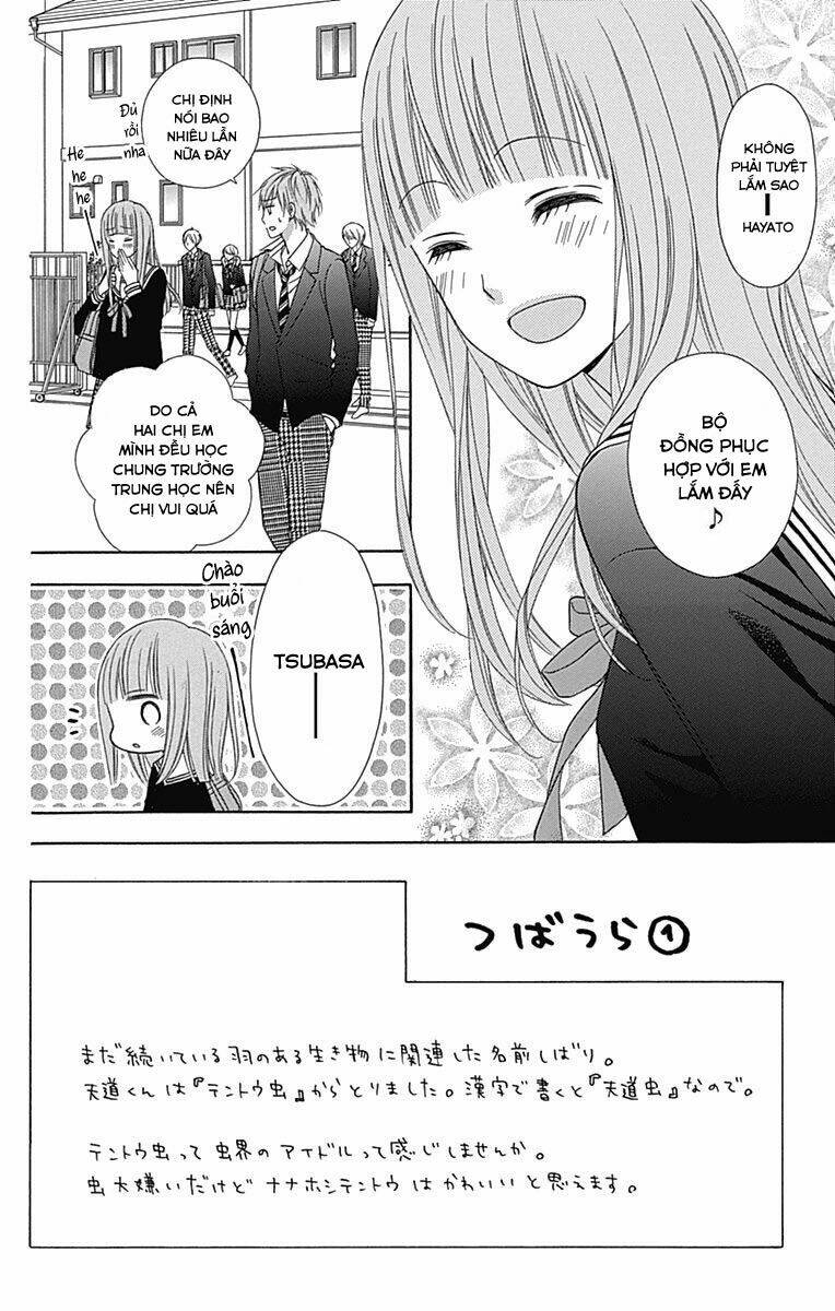 Tsubasa To Hotaru Chương 29 Ảnh 3