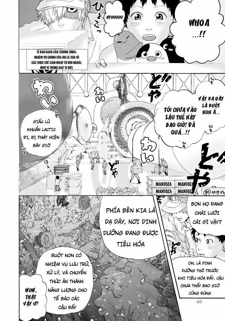 Hataraku Saibou ! Chương 21 Ảnh 3