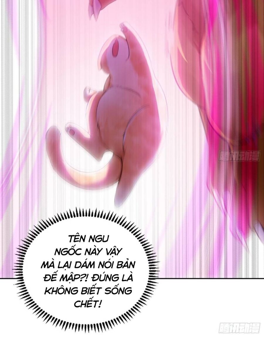 Thần Cấp Khế Ước : Bắt Đầu Với Một Con Mèo Chương 2 Ảnh 15