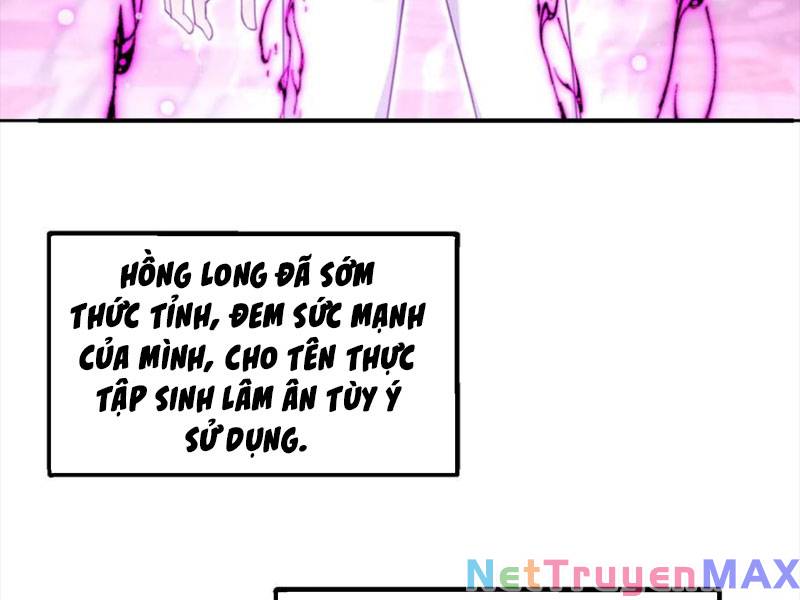 Hồng Long Dũng Giả Không Phải Người Lương Thiện Chương 15 Ảnh 201