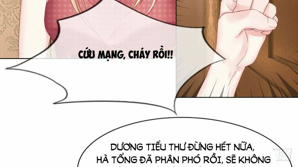 Ẩn Hôn Mật Ái: Cô Vợ Nhỏ Của Tổng Tài Tàn Nhẫn Chương 19 Ảnh 19