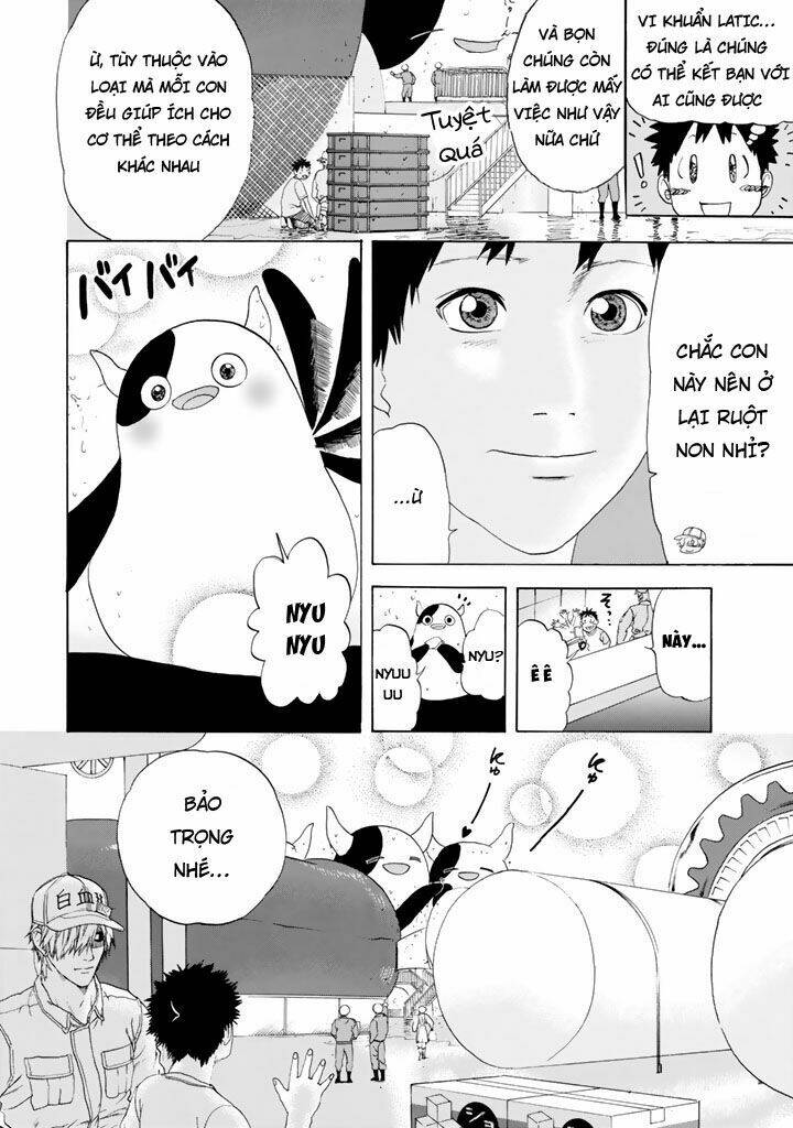 Hataraku Saibou ! Chương 21 Ảnh 9