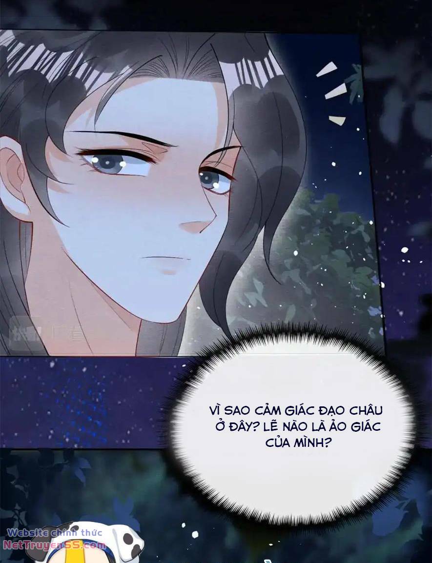 Tiêu Rồi, Lại Bị Bệnh Kiều Để Mắt Đến! Chương 83 Ảnh 6