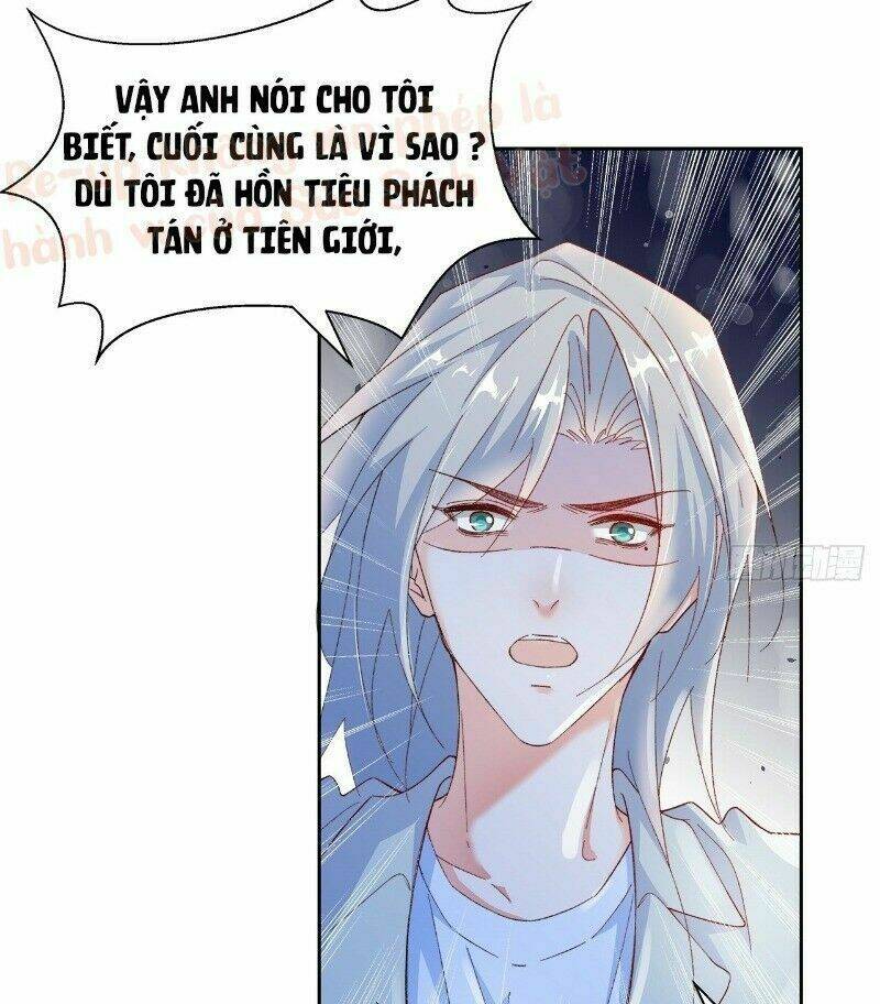 Ảnh Đế Yêu Hồ Chương 45 Ảnh 23