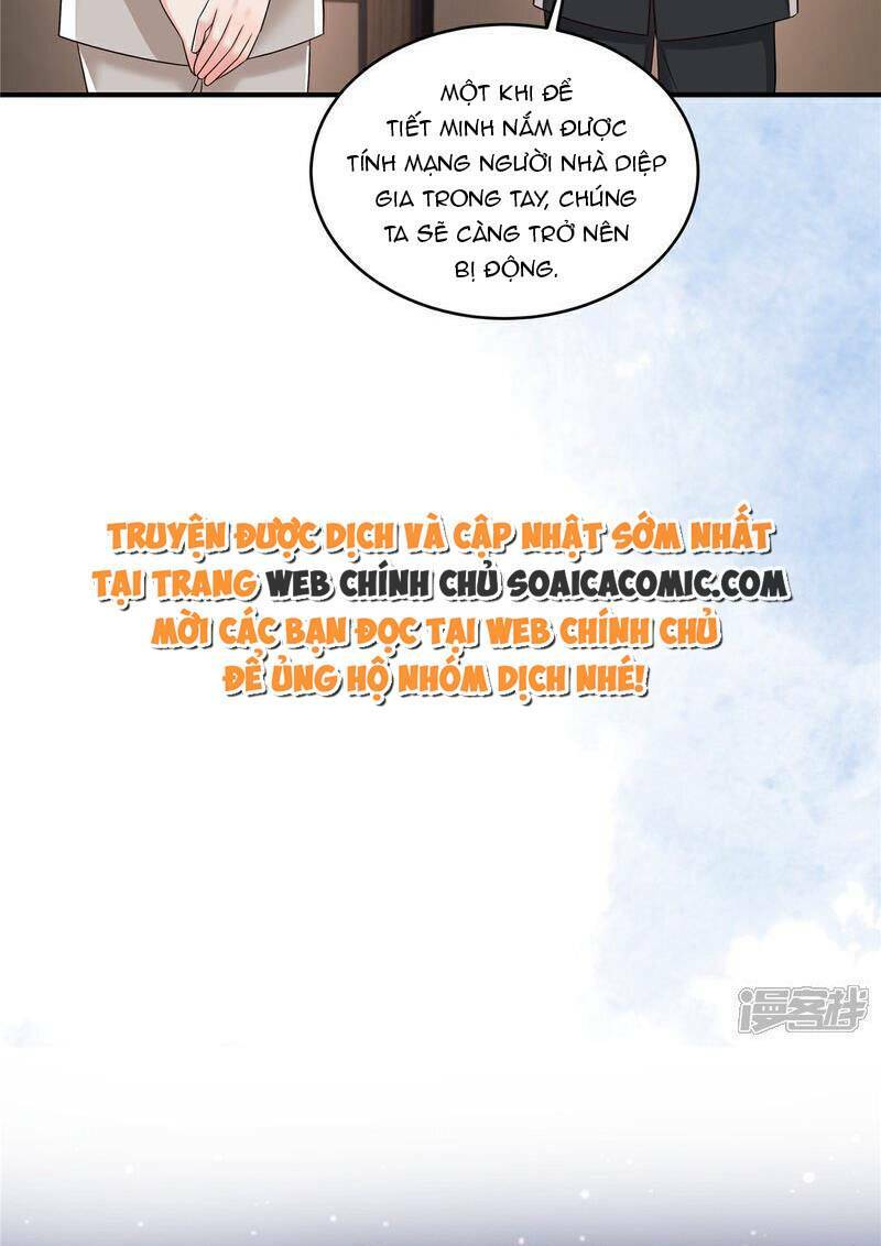 Trọng Sinh Trở Lại: Sủng Nịch Độc Nhất Vô Nhị Chương 343 Ảnh 13