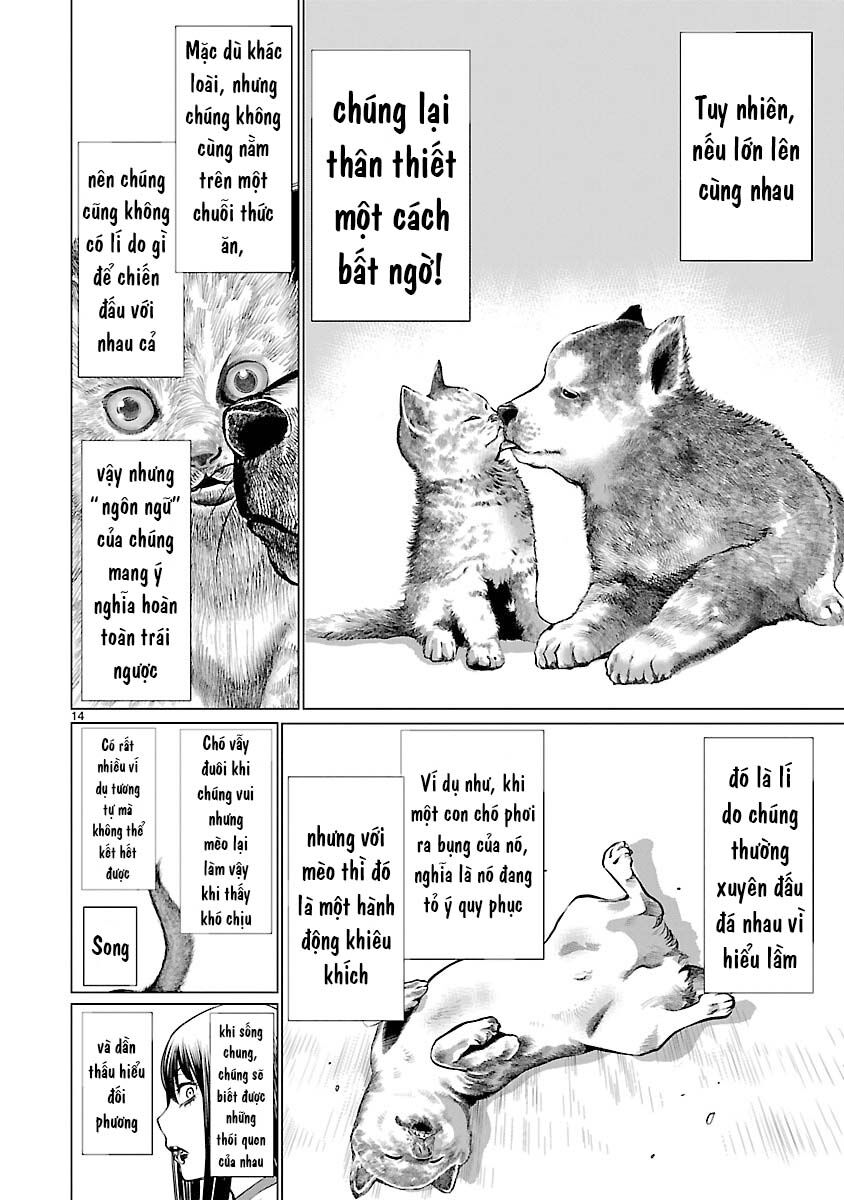 Killing Bites Chương 39 Ảnh 18