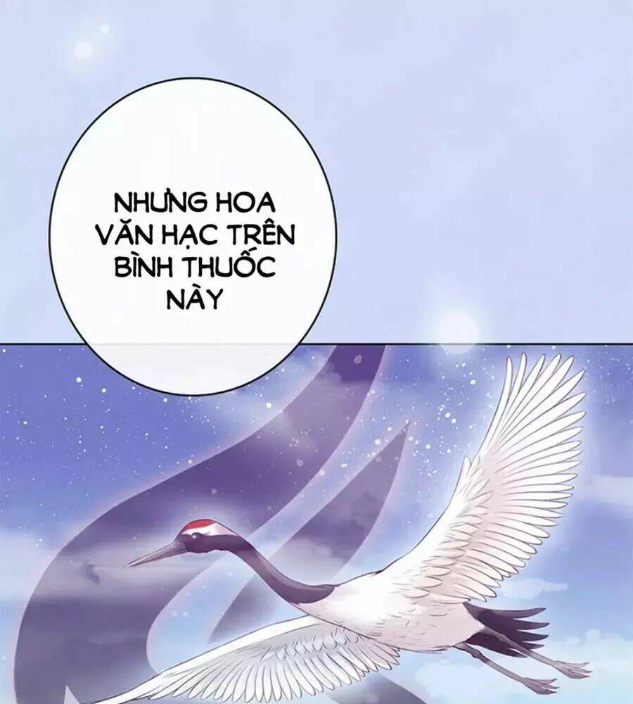 Mỹ Nhân Già Rồi Chương 64 Ảnh 65