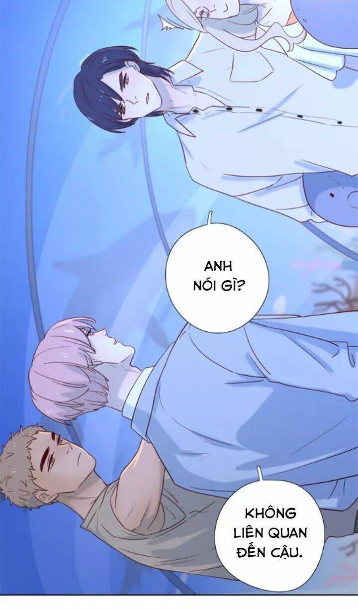 Cạm Bẫy Ngọt Ngào Chương 86 Ảnh 29