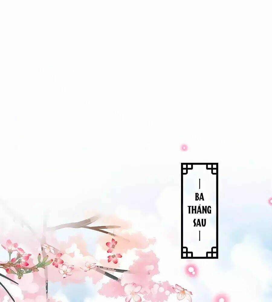 Thịnh Thế Lê Hoa Điện Chương 91 Ảnh 16