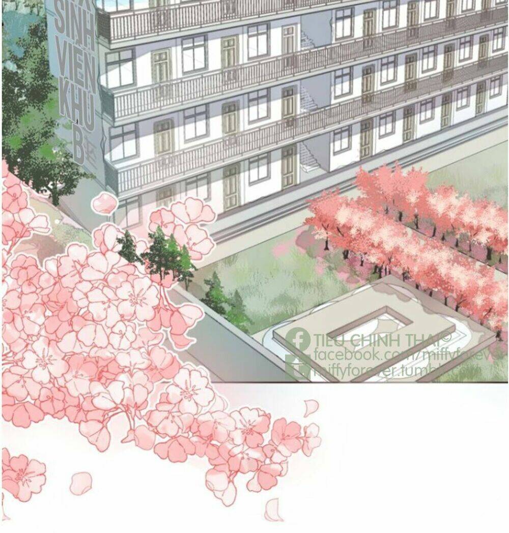 Bạn Trai Xương Rồng Chương 1 Ảnh 4
