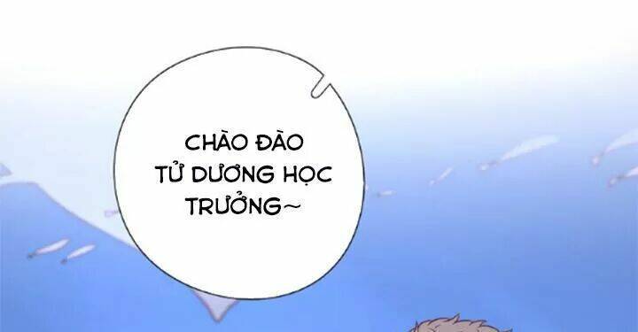 Cạm Bẫy Ngọt Ngào Chương 86 Ảnh 36