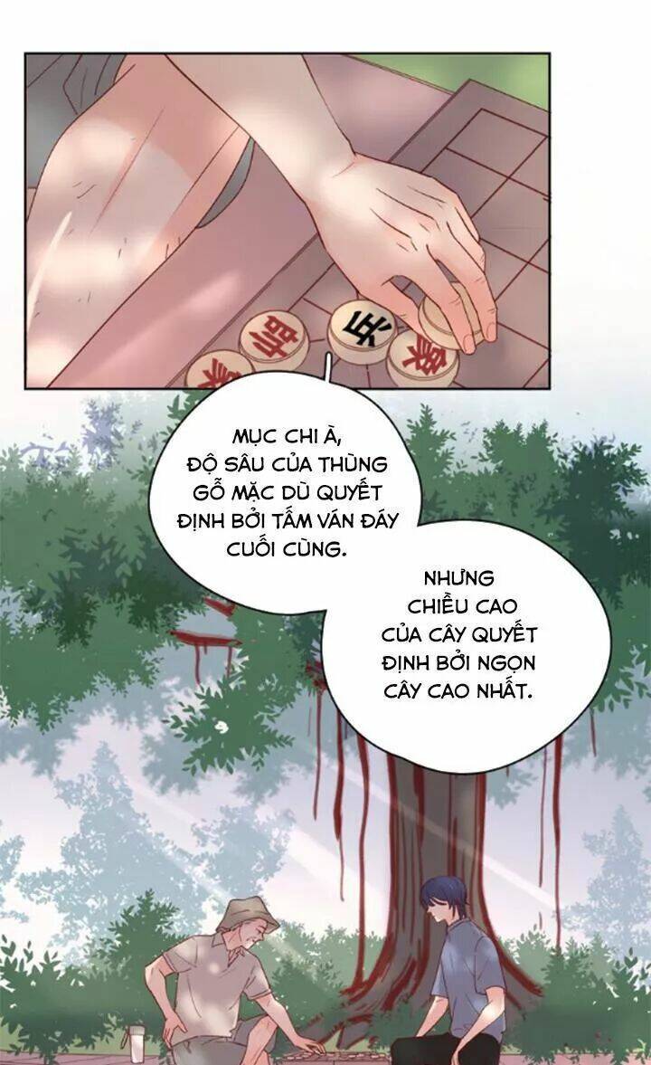 Cạm Bẫy Ngọt Ngào Chương 88 Ảnh 26