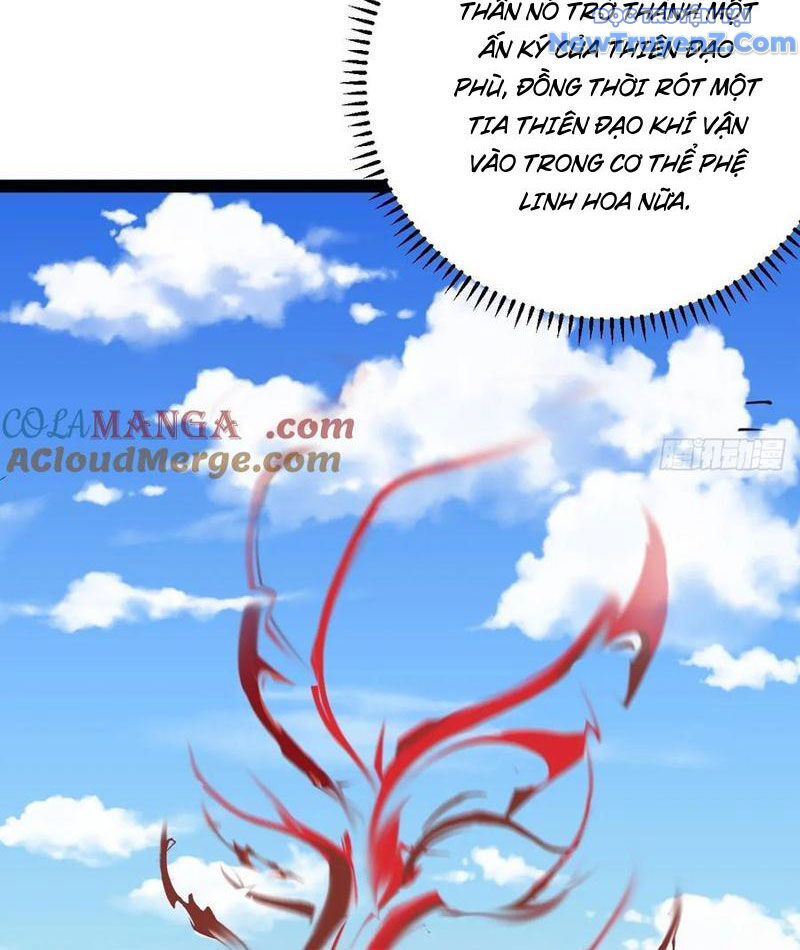 Ta Ở Nhà 100 Năm Khi Ra Ngoài Đã Vô Địch Chương 329 Ảnh 14