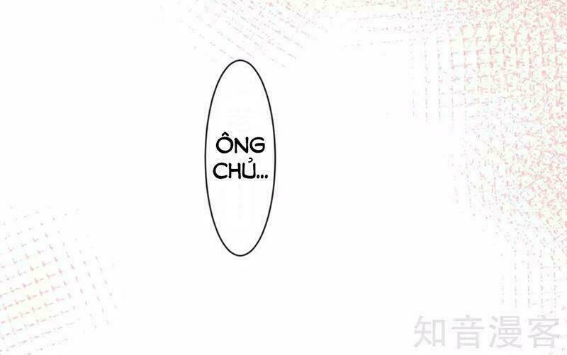Tôi Bị Tổng Tài Ám Hại Chương 153 Ảnh 30