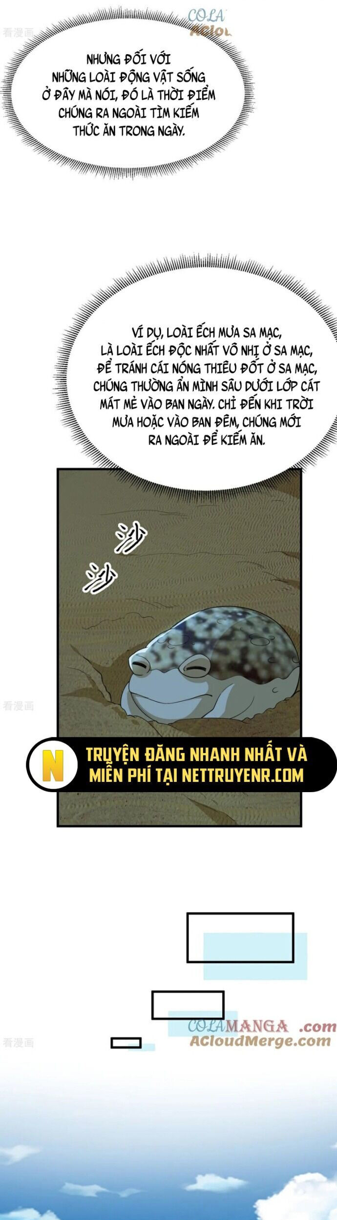Tôi Sống Trên Hoang Đảo Cùng Các Em Gái Chương 317 Ảnh 16