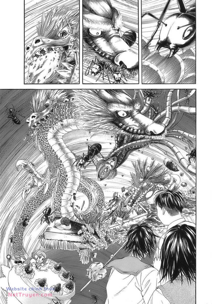 Thiếu Niên Thiếu Nữ Phiêu Lưu Ký Chương 12 Ảnh 17