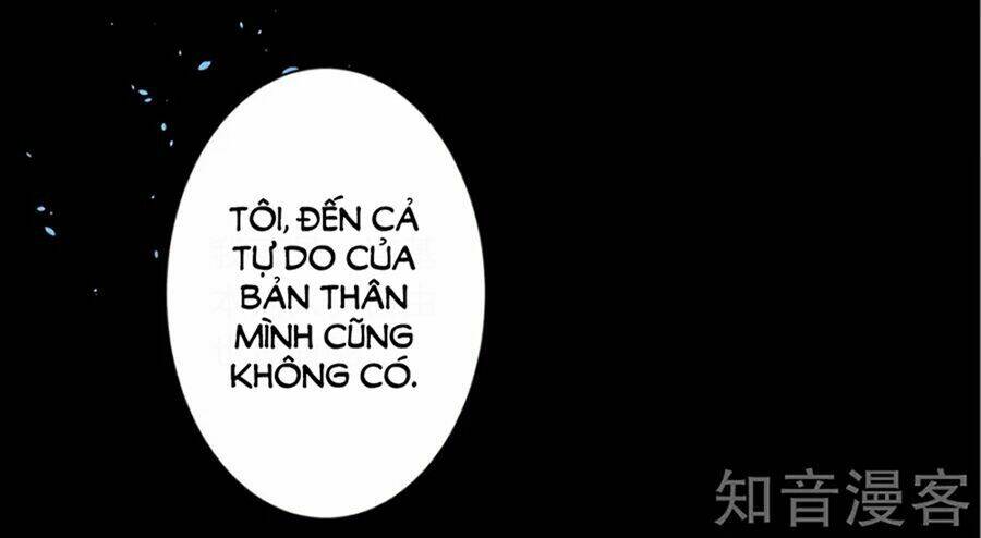 Tôi Bị Tổng Tài Ám Hại Chương 145 Ảnh 33