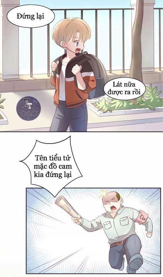 Dưới Móng Vuốt Mèo Chương 21 Ảnh 15