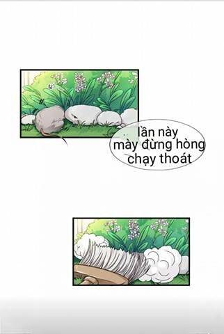 Hoa Giai Vân MộNg Chương 1 Ảnh 17
