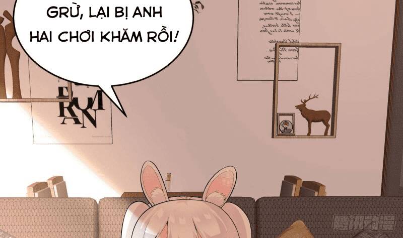 Các Cô Gái Tai Thú Đều Muốn Độc Chiếm Tôi Chương 16 Ảnh 65