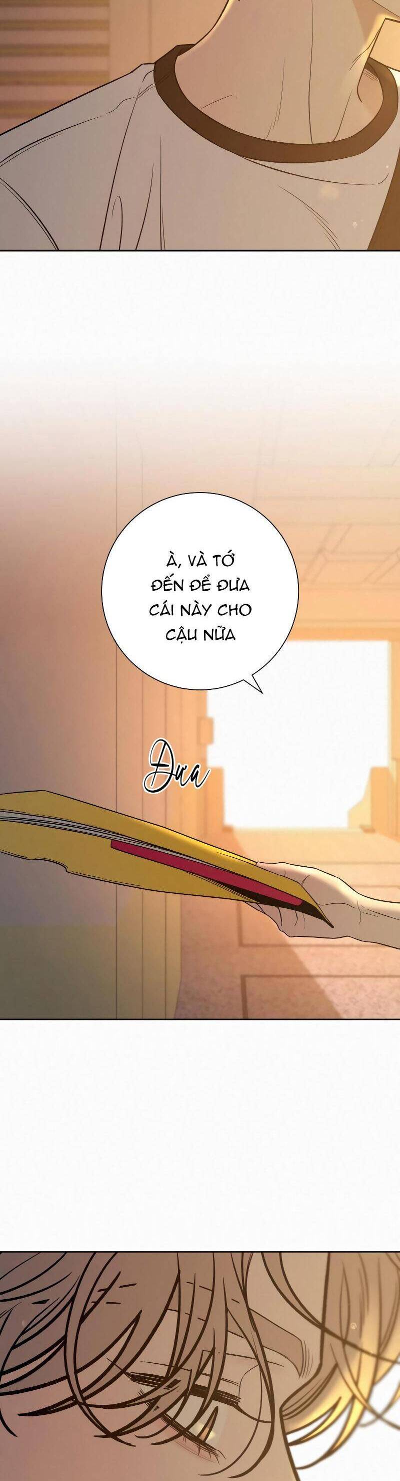 Kế Hoạch Tình Yêu Trong Sáng Chương 96 Ảnh 19