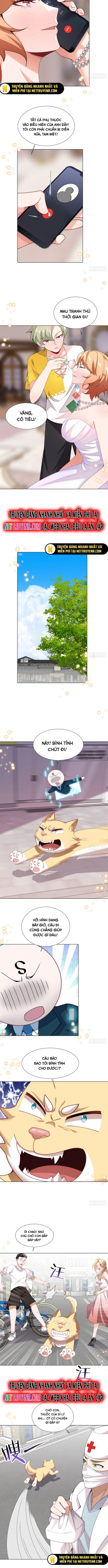 Kế Hoạch Bồi Dưỡng Streamer Của Cẩu Hoàng Chương 15 Ảnh 8