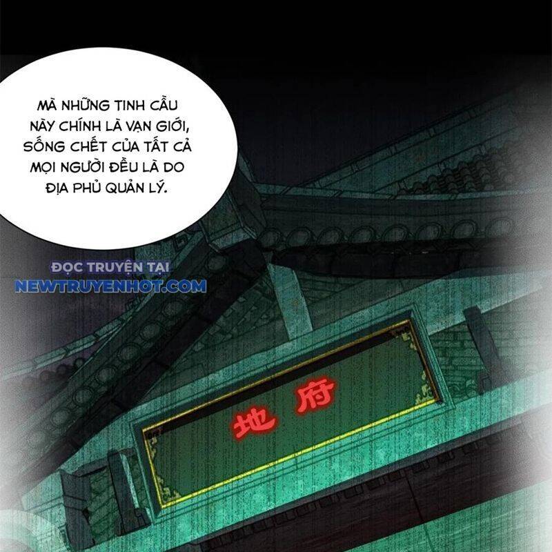 Người Ở Rể Bị Ép Thành Phản Diện Chương 642 Ảnh 42