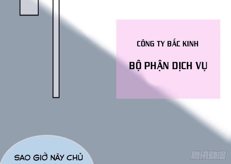 Các Cô Gái Tai Thú Đều Muốn Độc Chiếm Tôi Chương 15 Ảnh 65