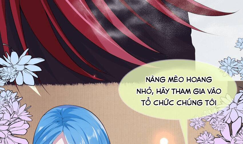 Các Cô Gái Tai Thú Đều Muốn Độc Chiếm Tôi Chương 20 Ảnh 61
