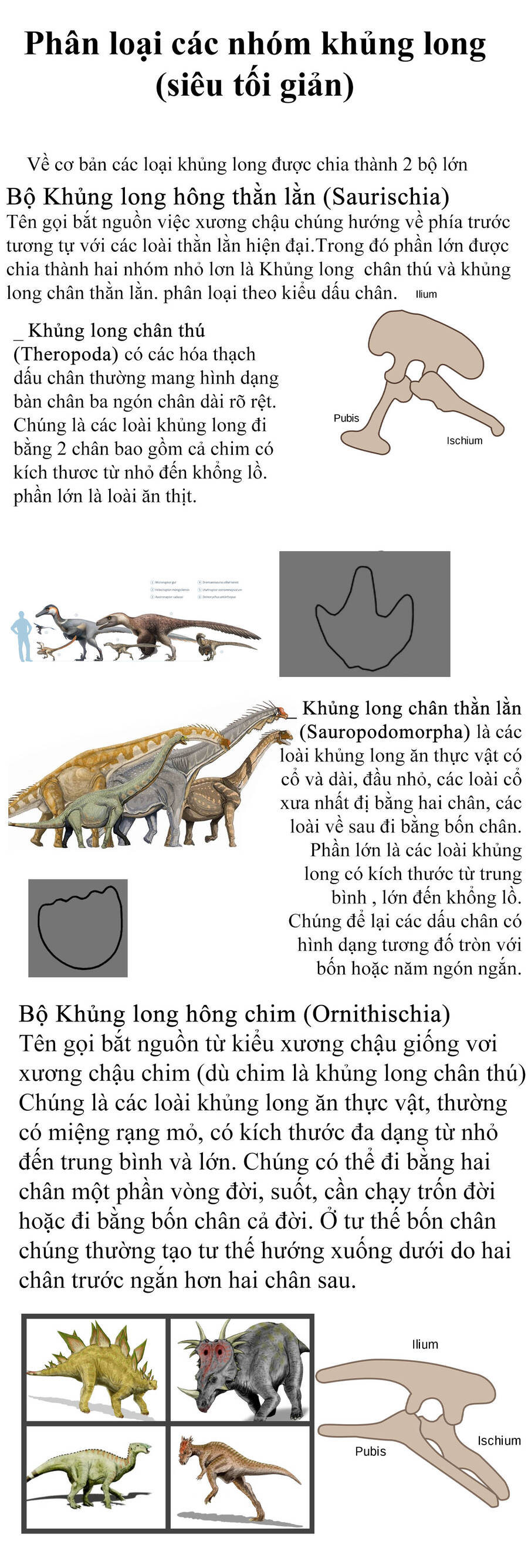 Khu Bảo Tồn Khủng Long Chương 1 Ảnh 56