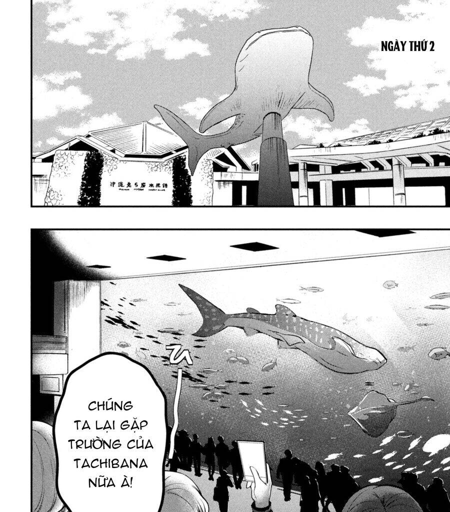 Watari-Kun No Xx Ga Houkai Sunzen Chương 71.5 Ảnh 14