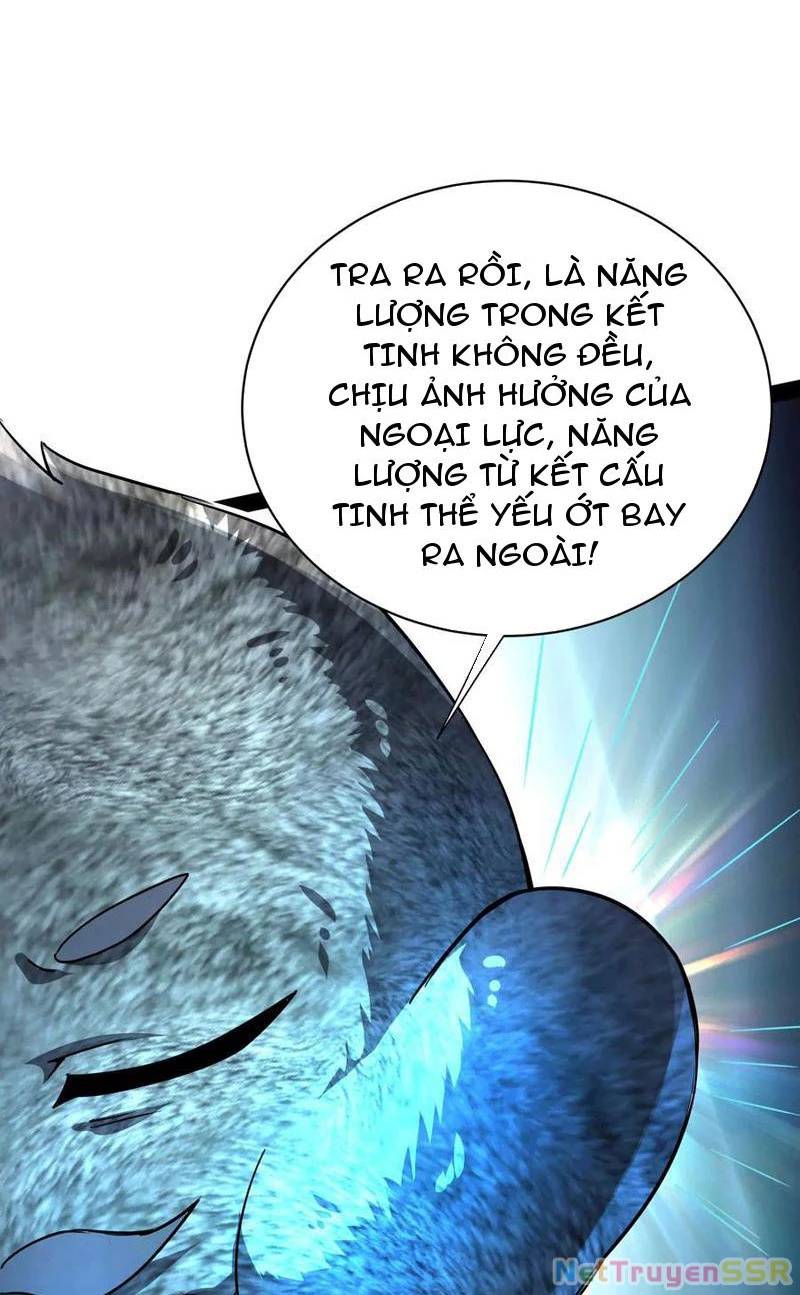 Đại Liên Minh Phản Xuyên Việt Của Bạo Quân Chương 84 Ảnh 47
