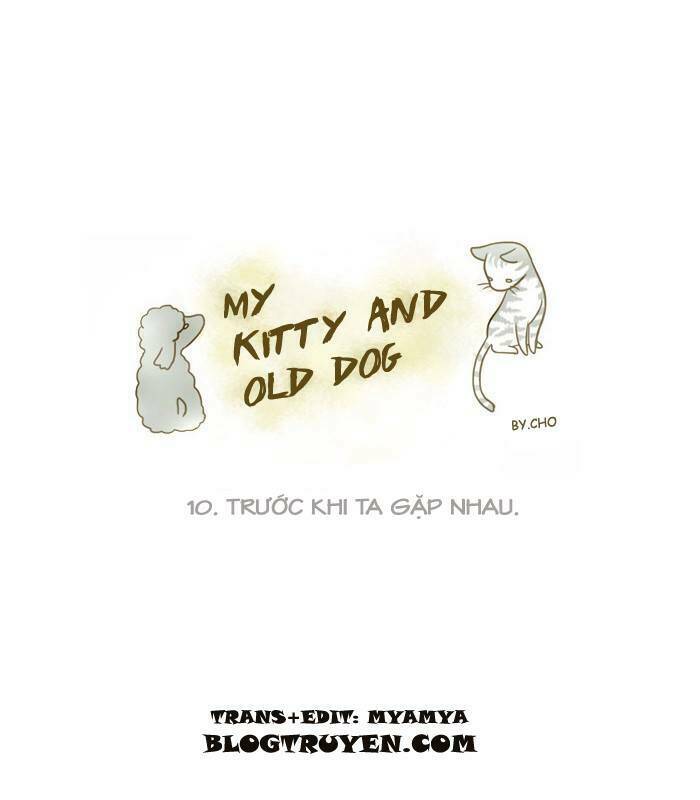 My Kitty And Old Dog Chương 10 Ảnh 3