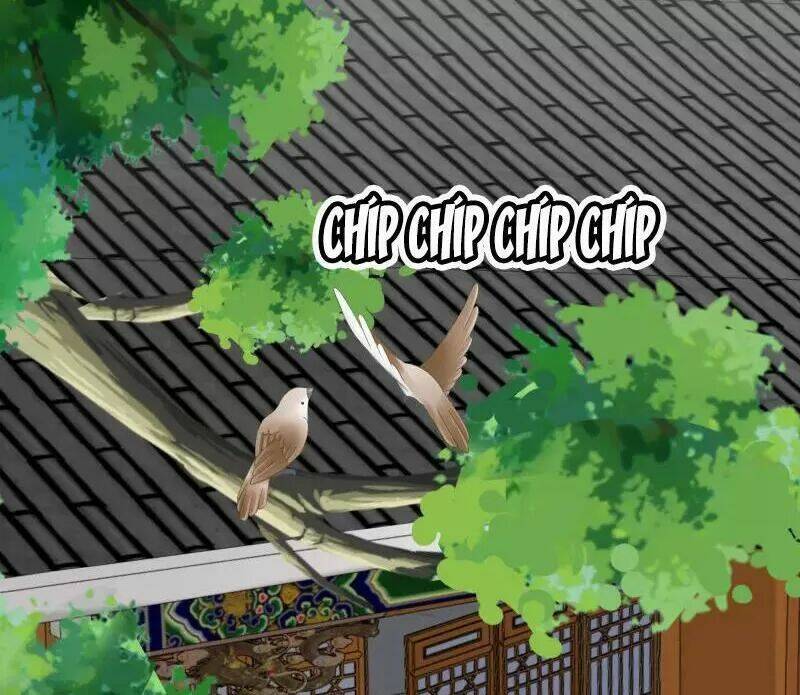 Tuyệt Thế Độc Phi Của Tà Vương Chương 143 Ảnh 25