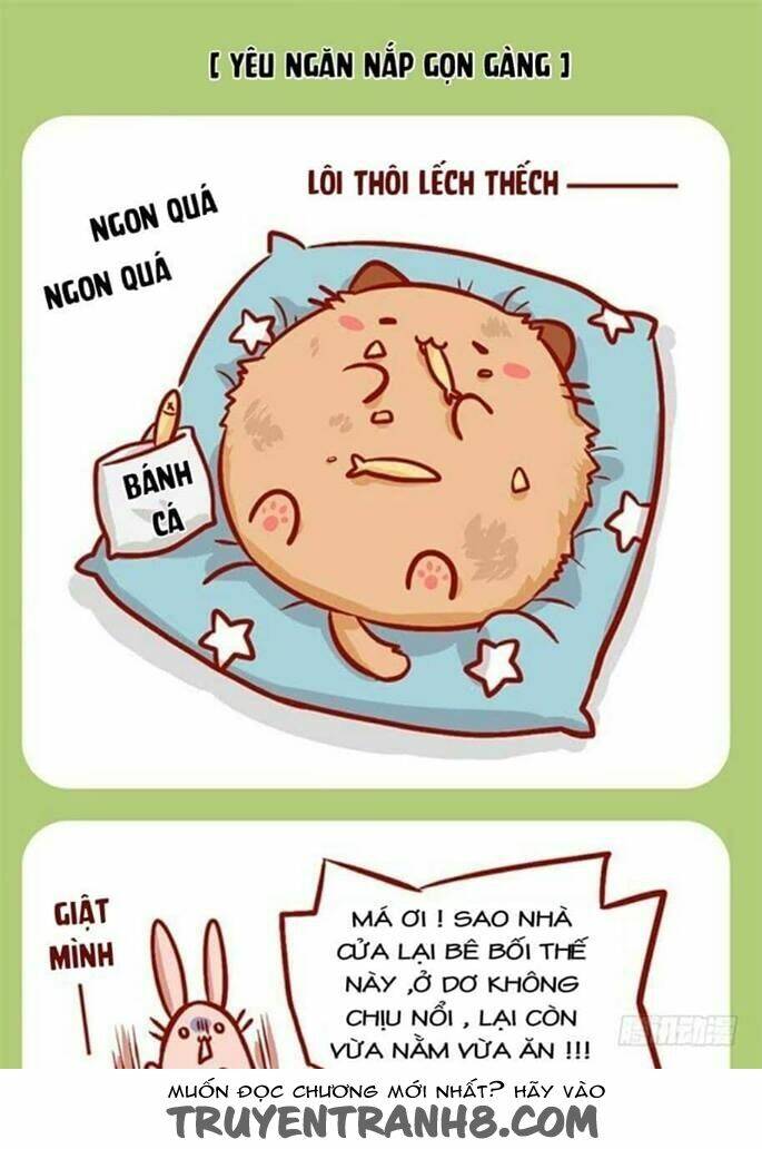 Mèo Béo Và Thỏ Giấy Chương 4 Ảnh 3