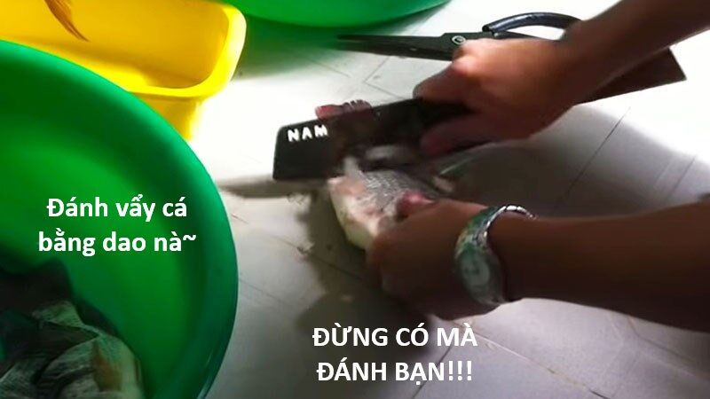 Hổ Đến Chơi Nhà (Puchimasu Miếu) Chương 136 Ảnh 49