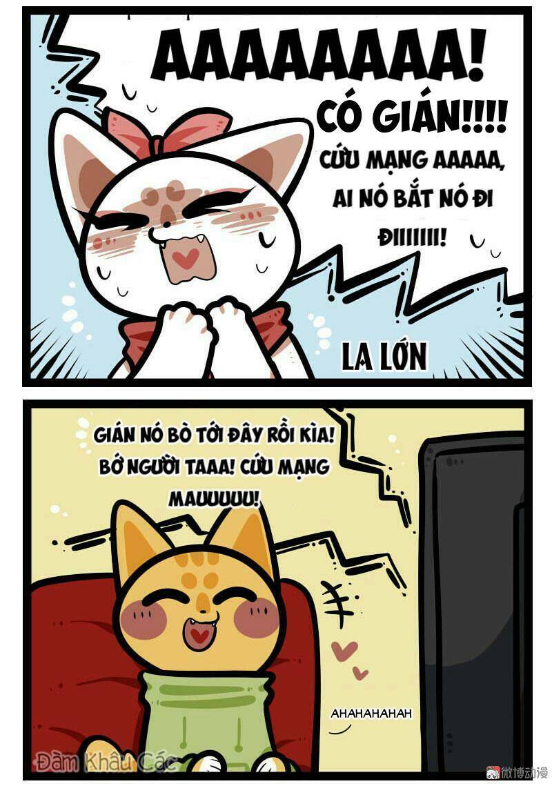 Đời Không Như Mình Tưởng Chương 64 Ảnh 4