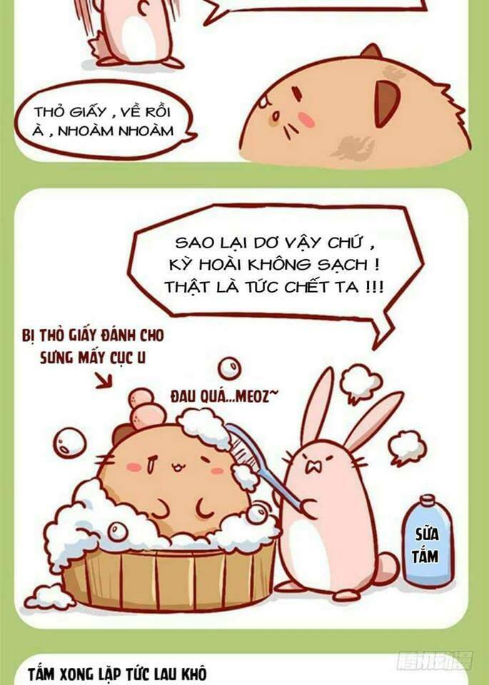 Mèo Béo Và Thỏ Giấy Chương 4 Ảnh 4