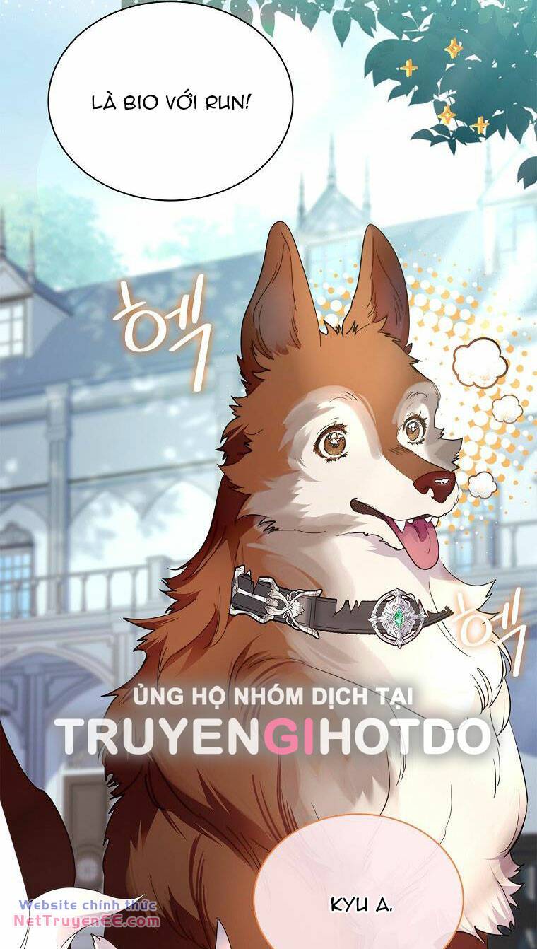 Tôi Đã Nuôi Hồ Ly Sai Cách Rồi Chương 36 Ảnh 17