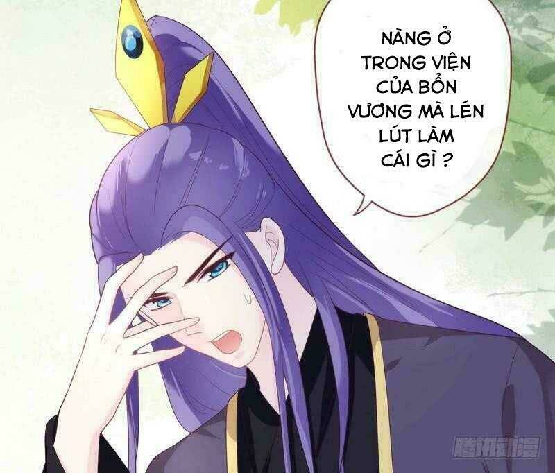Vương Phi - Âm Động Thiên Hạ Chương 31 Ảnh 20