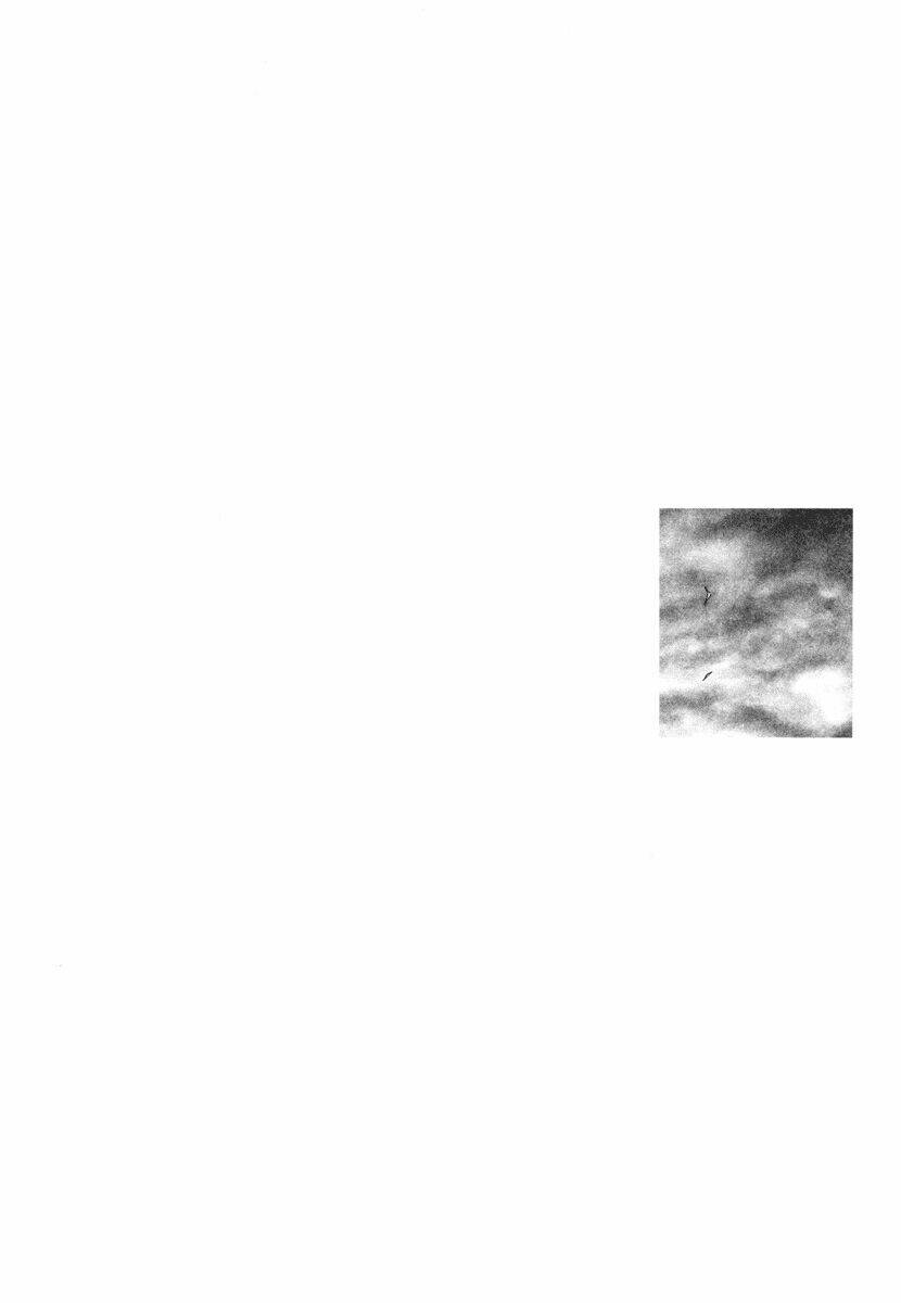 Nijigahara Holograph Chương 4 Ảnh 18