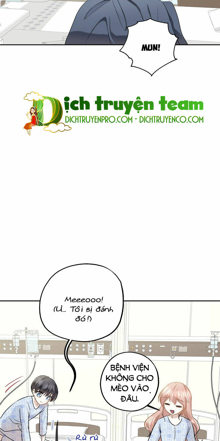 Cuộc Sống Kỳ Thú Chương 86 Ảnh 21
