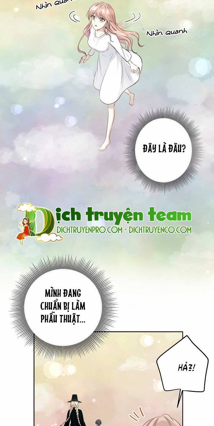 Cuộc Sống Kỳ Thú Chương 84 Ảnh 4