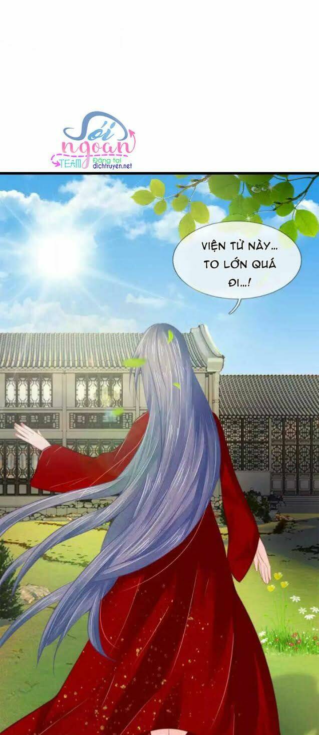 Y Phi Quyền Khuynh Thiên Hạ Chương 36 Ảnh 5
