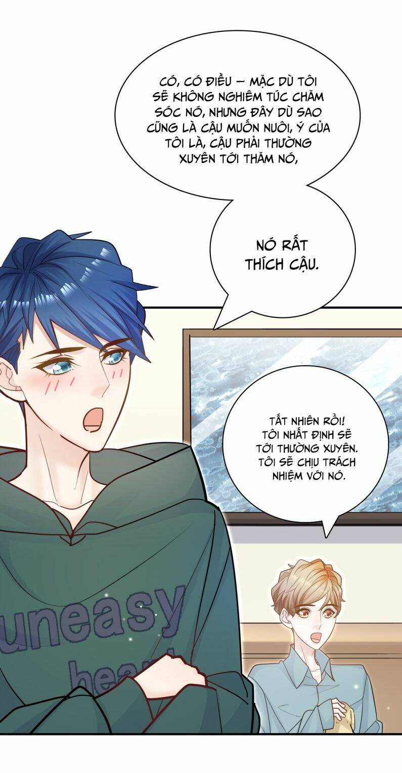 Anh Ấy Sinh Ra Đã Là Công Của Tôi Chương 75 Ảnh 41