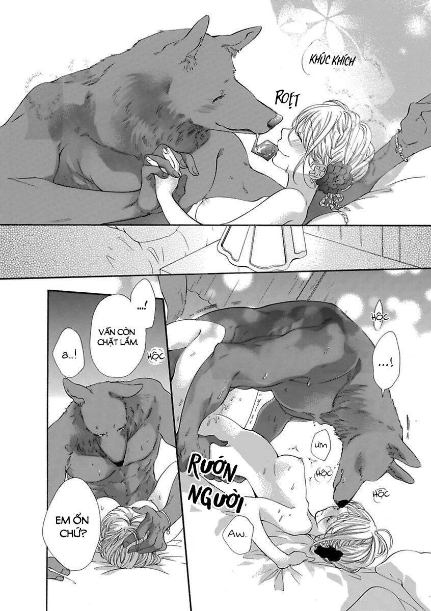 Người Thú Và Hana-Chan Chương 16 Ảnh 11