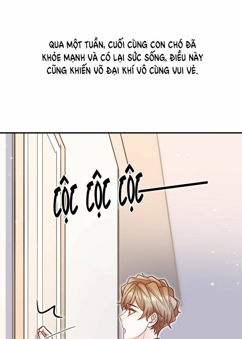 Anh Ấy Sinh Ra Đã Là Công Của Tôi Chương 75 Ảnh 18